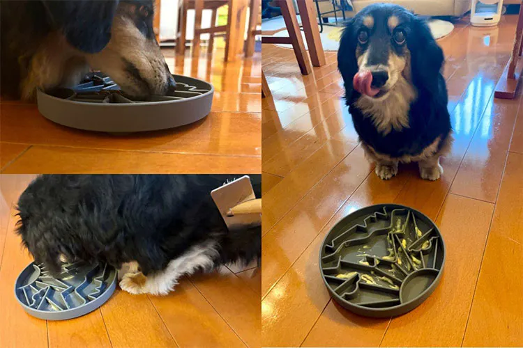 愛犬が夢中になっている間にブラッシング!「早食い防止マット」活用術|WanQol