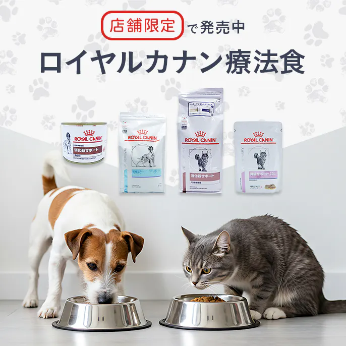 【店舗限定】ロイヤルカナン療法食の購入について