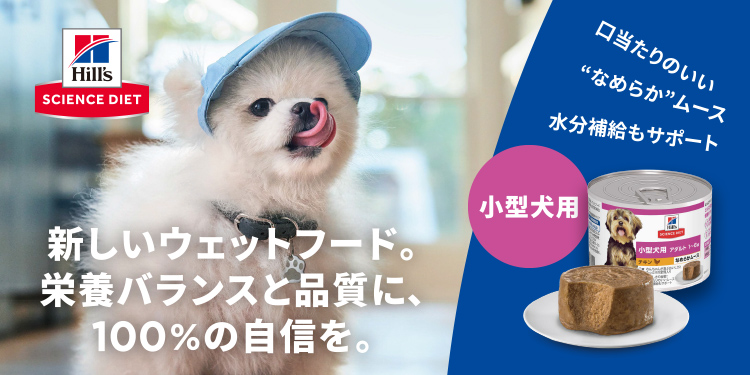 サイエンス・ダイエット 新しいウエットフード（犬用）販売中