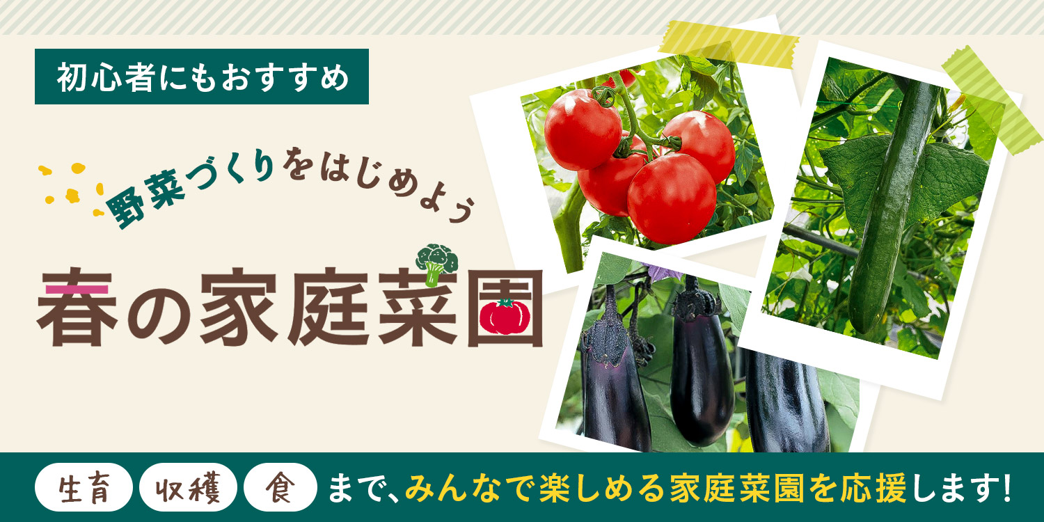 野菜づくりをはじめよう 春の家庭菜園