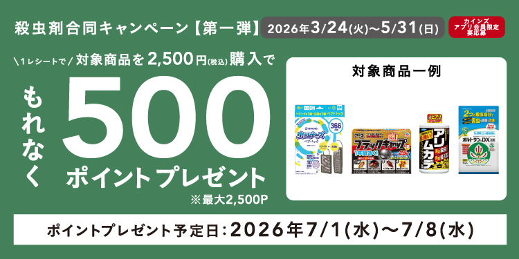 オンラインショップ限定キャンペーンも開催中！キャンペーン情報