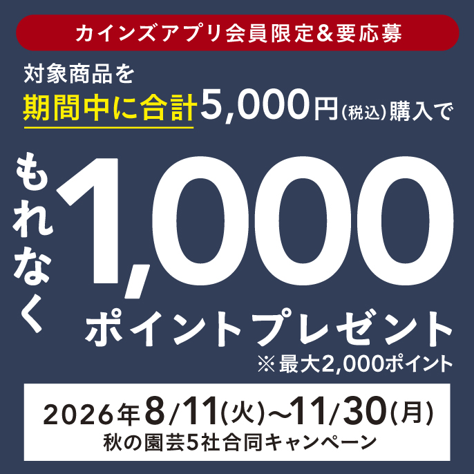 特集・キャンペーン一覧｜ホームセンターのカインズ公式通販サイト