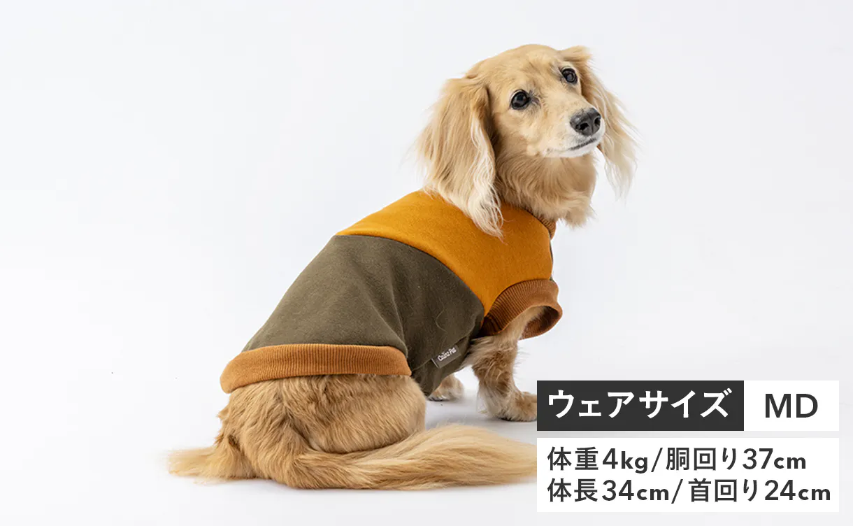 pet_wear_img03a_1220x752.jpg