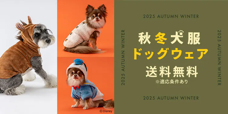 秋冬の新作登場!おしゃれで機能的な犬服・ドッグウェア特集