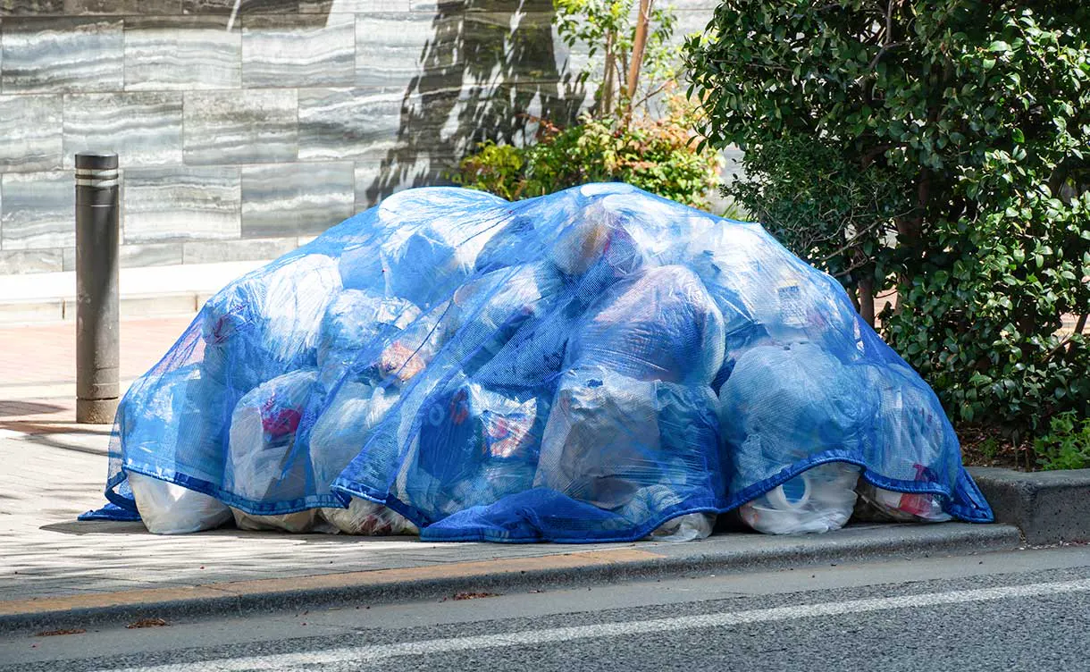 鳥害(カラス)対策