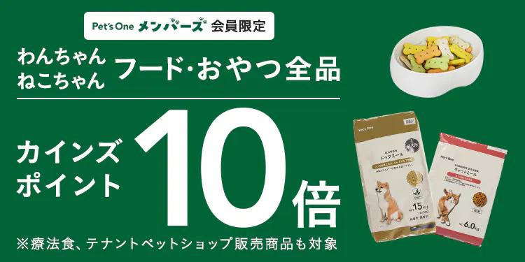 【11月1・2・8・9日限定】フード・おやつ全品10倍ポイントキャンペーン