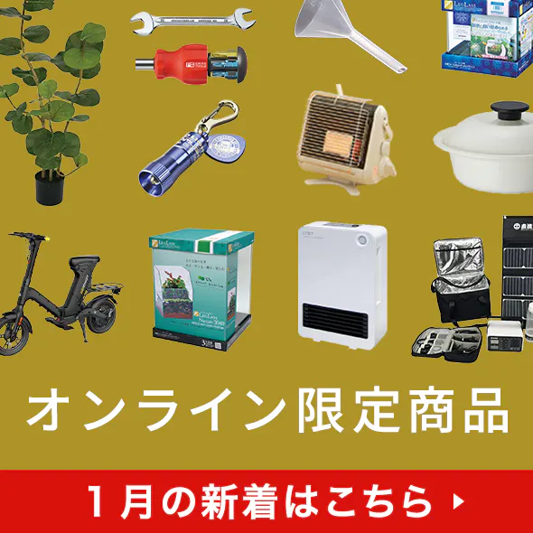 今月の新着オンライン限定商品