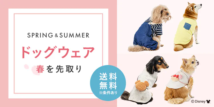 【2026年 春夏】おしゃれでかわいい犬服・ドッグウェア特集｜種類・サイズ・シーン別