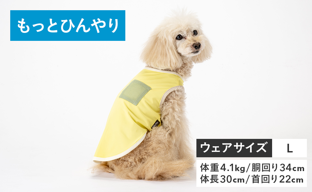 2026年春夏】おしゃれでかわいい犬服・ドッグウェア特集｜ひんやり機能