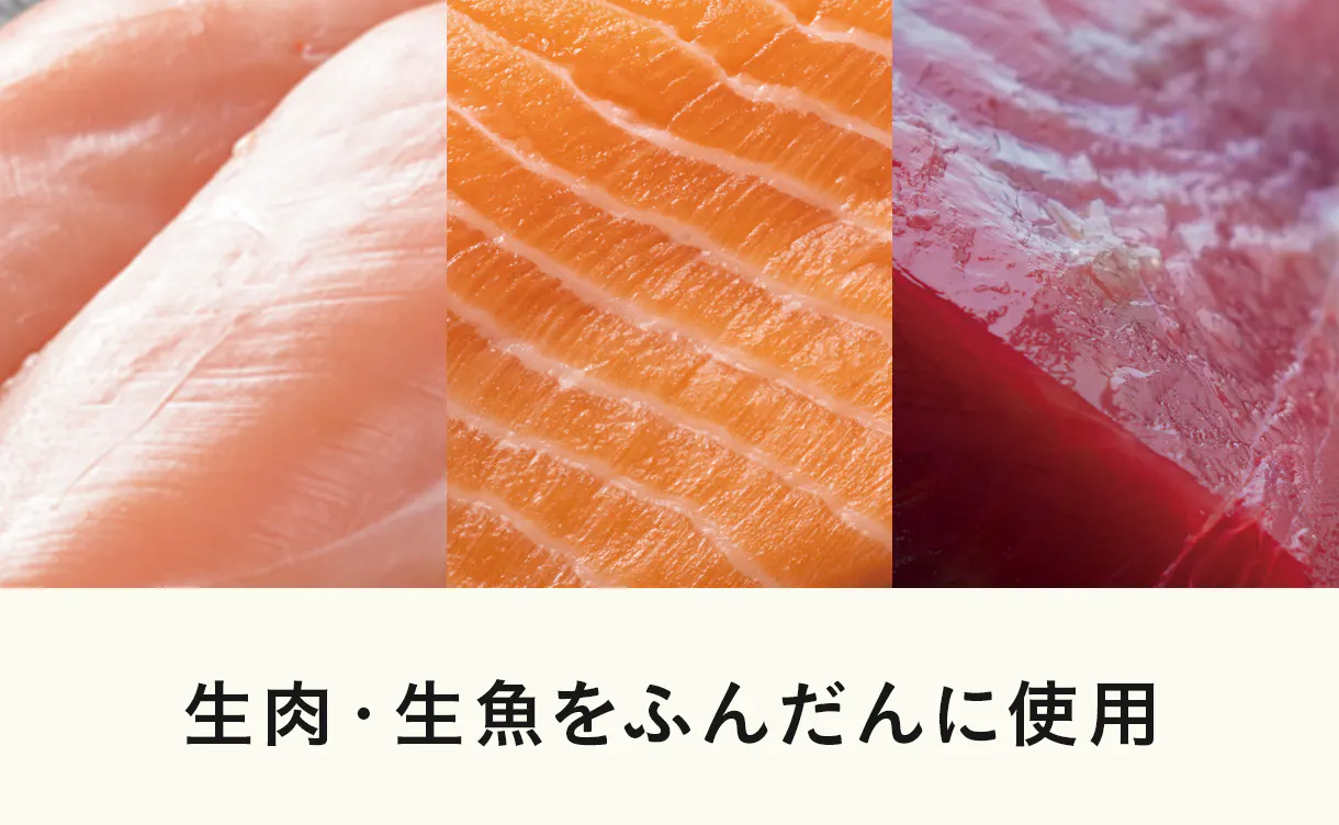 成猫用キャットフード