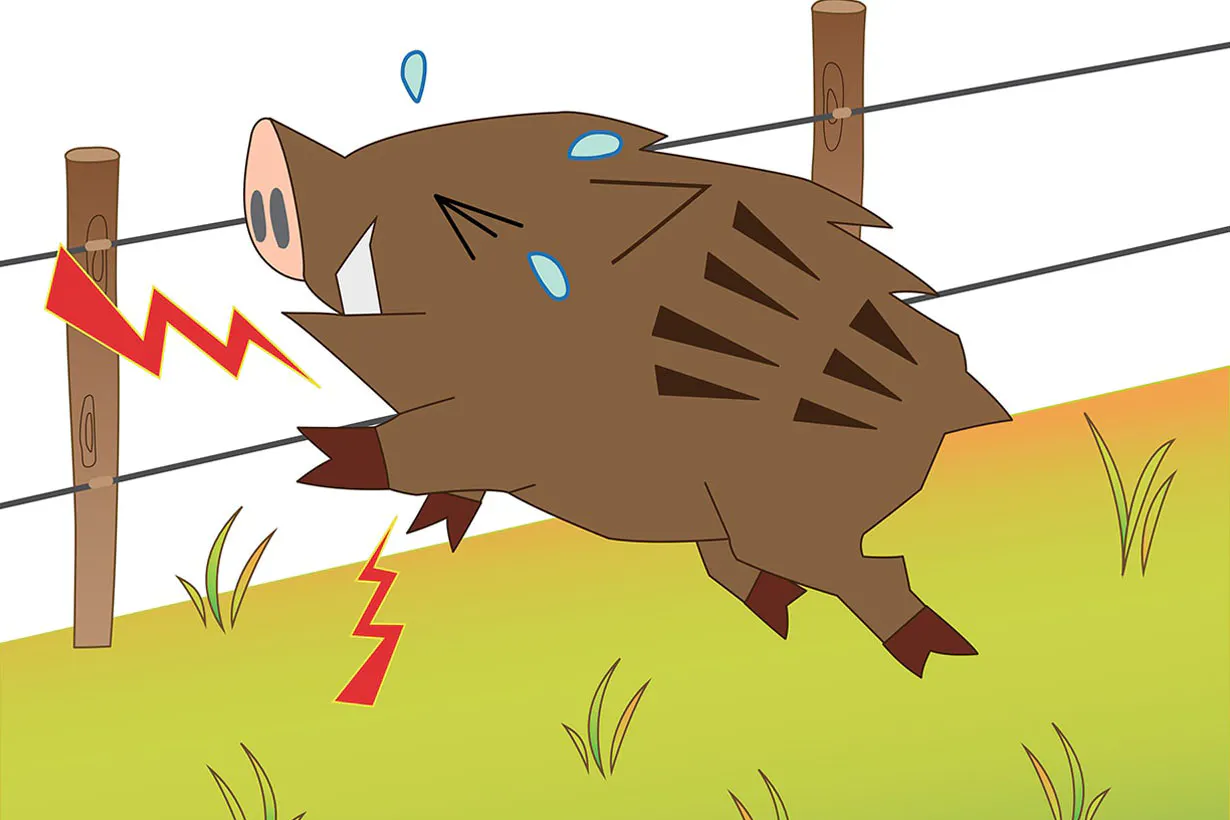 電気柵の正しい選び方と設置方法をわかりやすく解説！｜となりのカインズさん