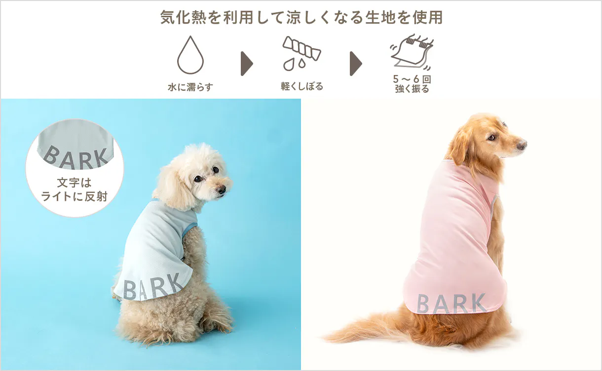 pet_wear_img02_1220x752.jpg