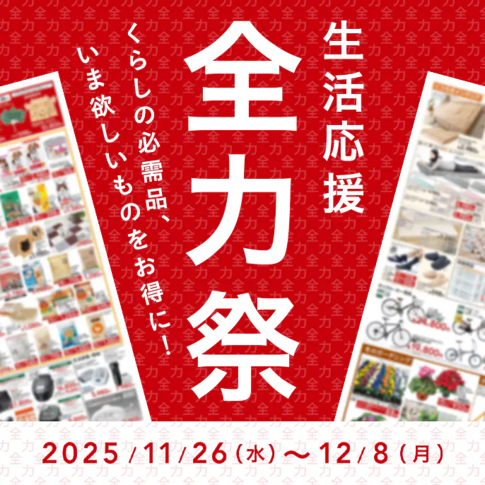 カインズのお得なチラシ情報のご案内