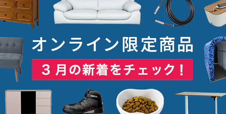 今月の新着オンライン限定商品