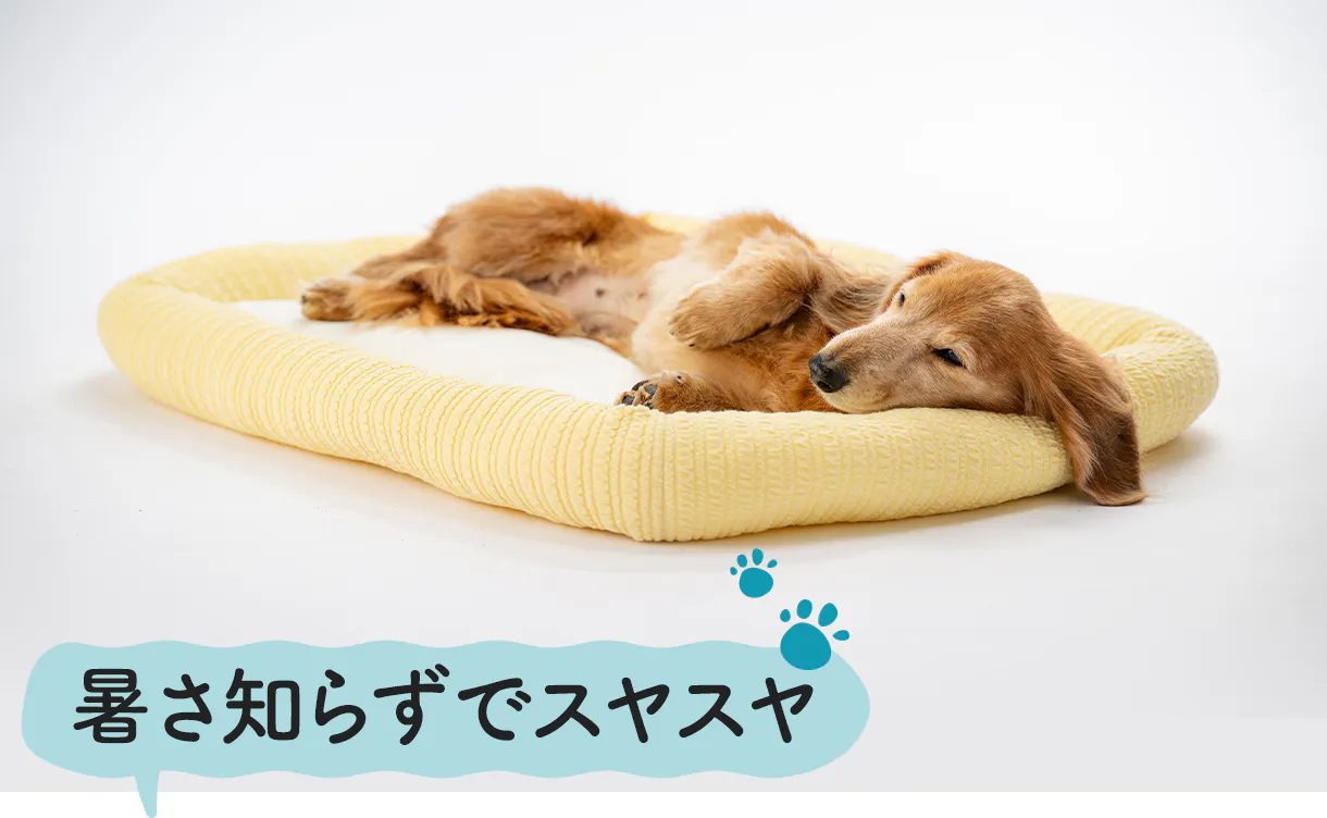 もっと​ひんやりペットベッド