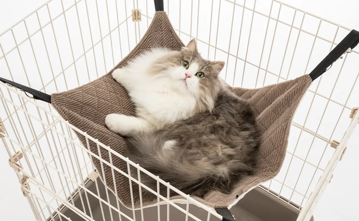 高い​場所が​好きな​猫に​​おすすめのペットベッド