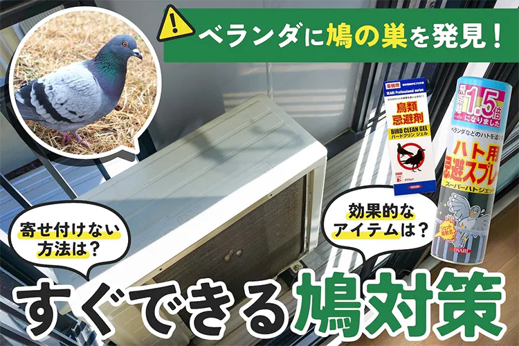 鳩対策は巣を作られる前に! 自分でできる鳩を寄せ付けない予防法|となりのカインズさん