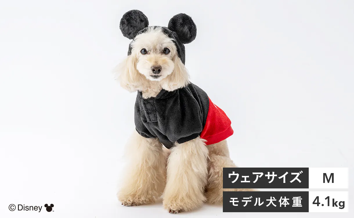 pet_wear_img05a_1220x752.jpg