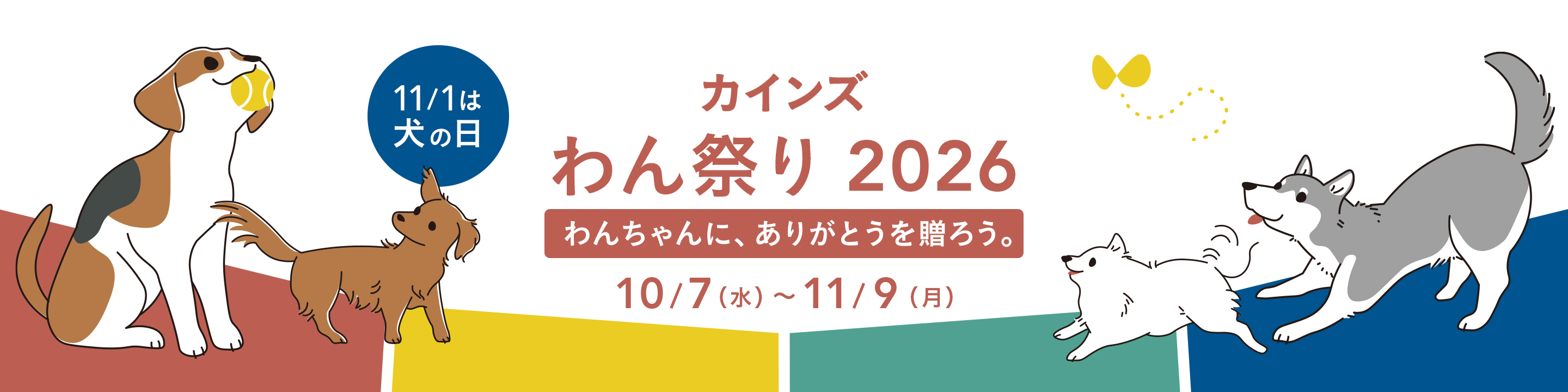 【シールド】2 Cainz EU Original ホームセンター通販のカインズ