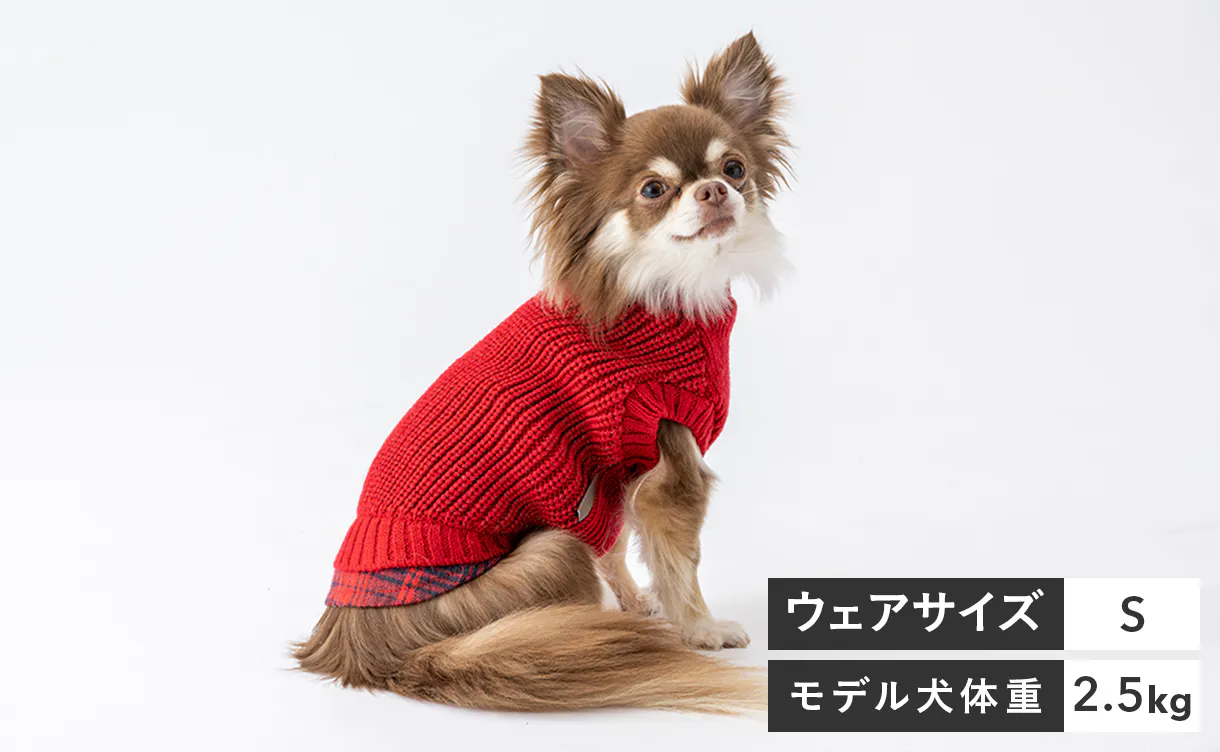 pet_wear_img04a_1220x752.jpg