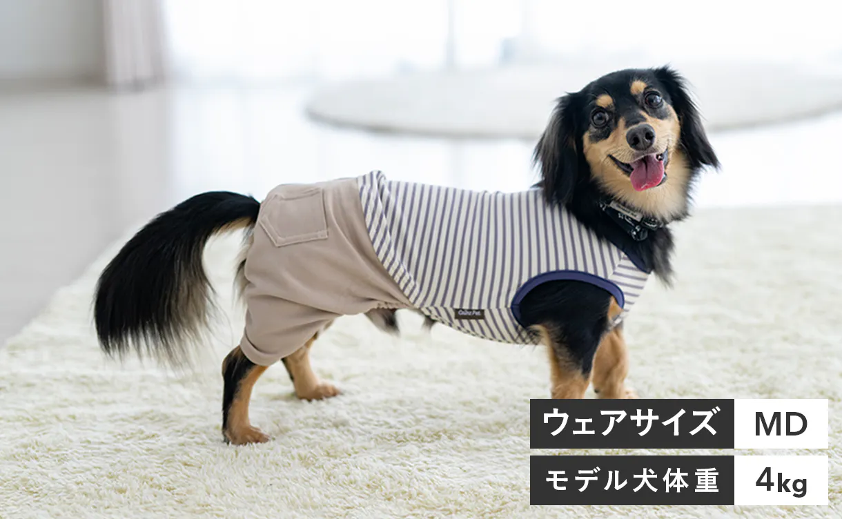 pet_wear_img02b_1220x752.jpg