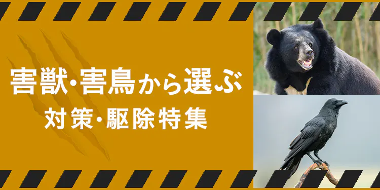 【害獣・害鳥から​選ぶ】対策・駆除特集