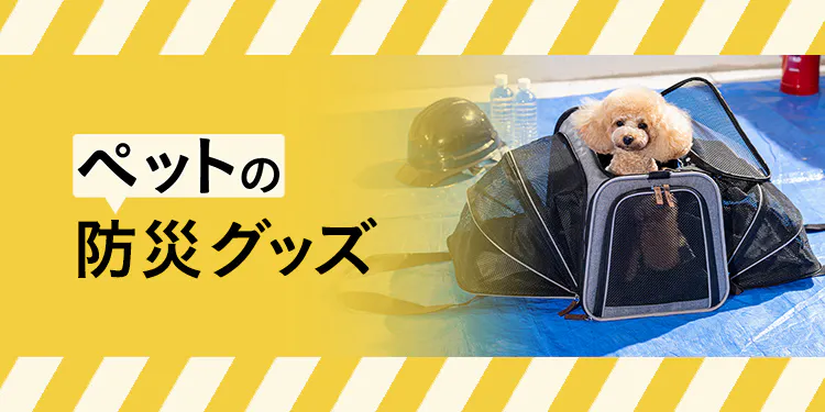 ペットの防災グッズ