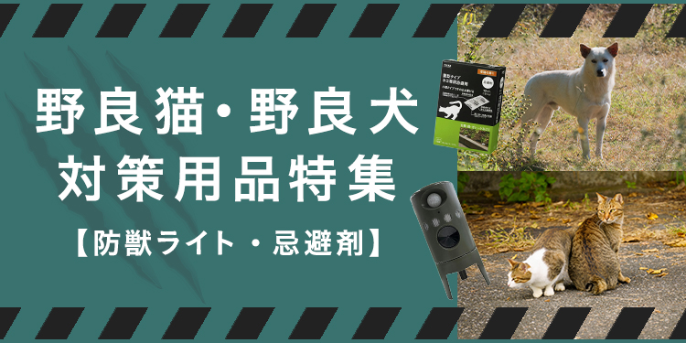 ネコ犬様。専用。 最新セール情報【決算セール・近江八幡店】 | ペットショップ 犬の家