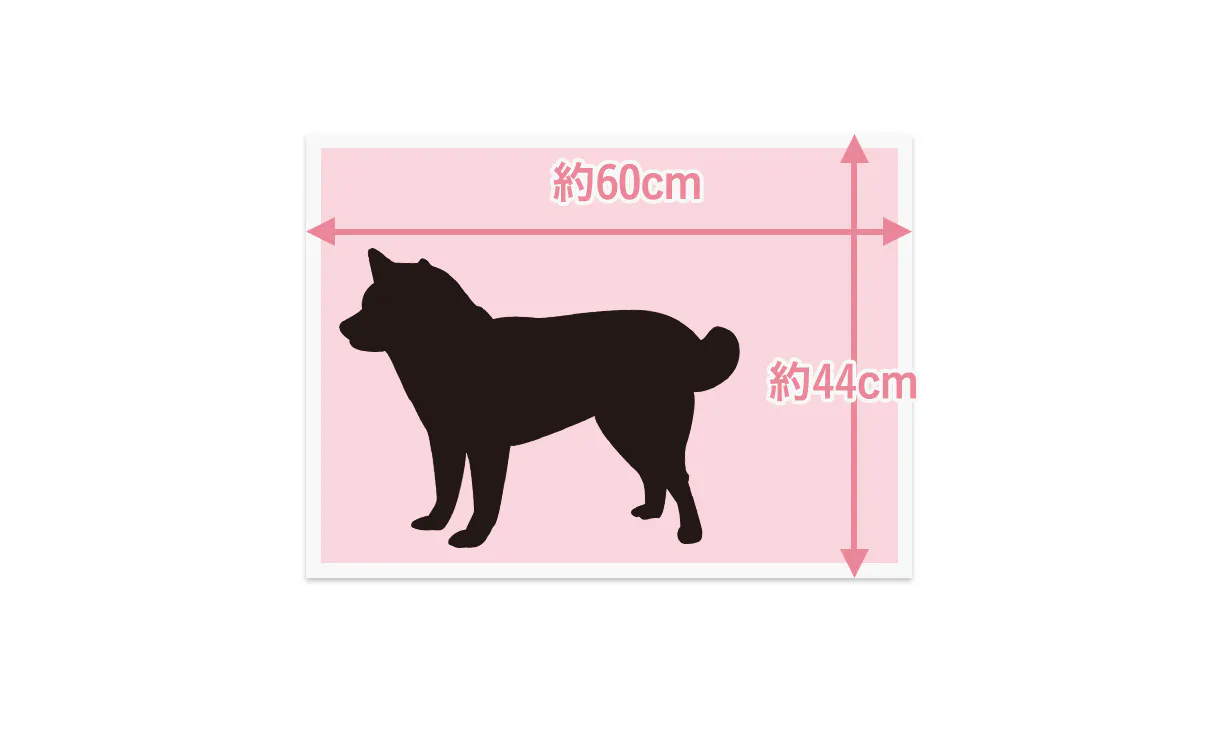 pet_sheets_anc01-2-1_1220x752.jpg