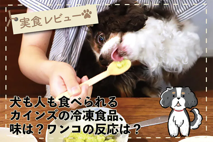 WanQol Withとなりのカインズさん