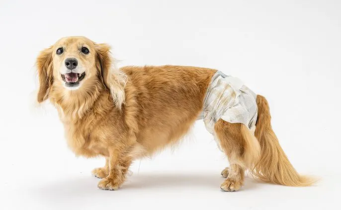 サニタリー小物