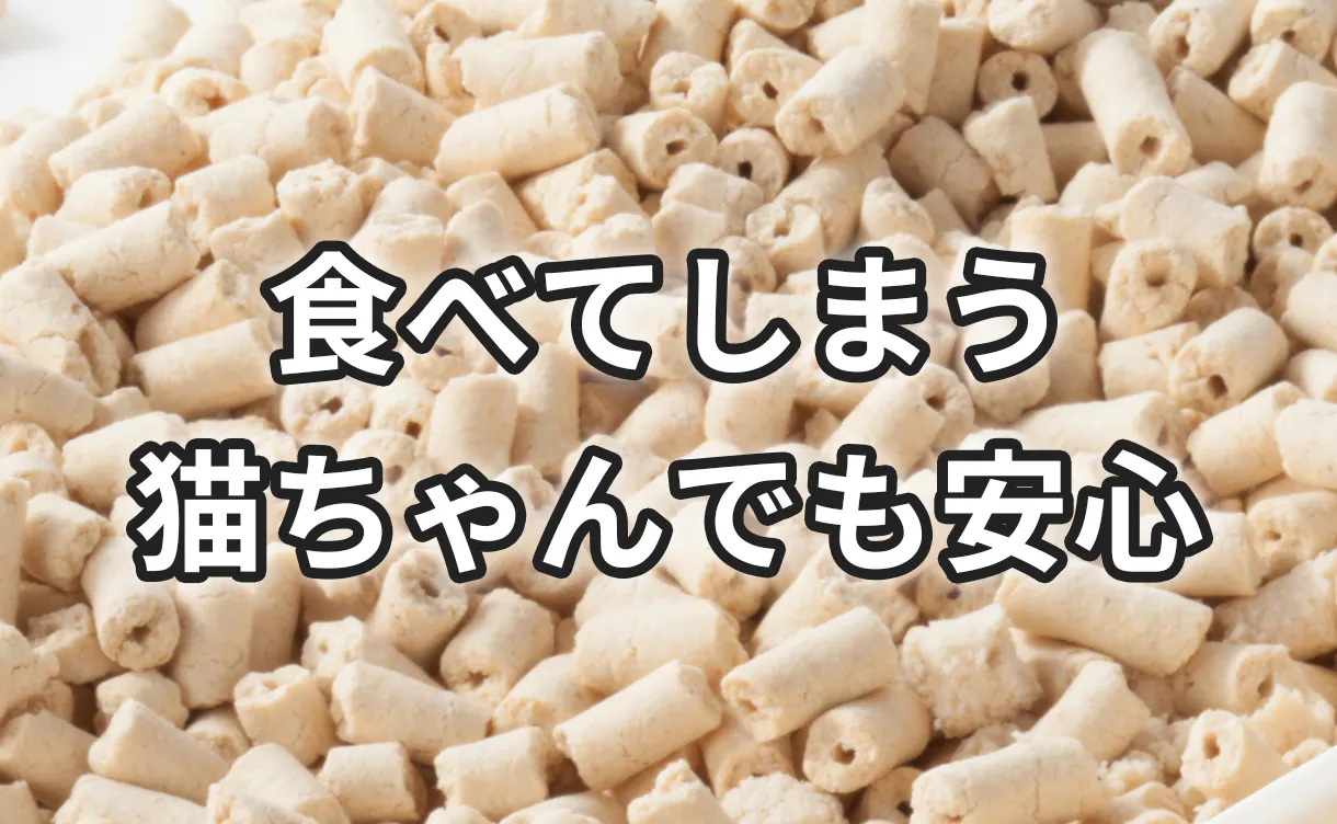 おからの猫砂