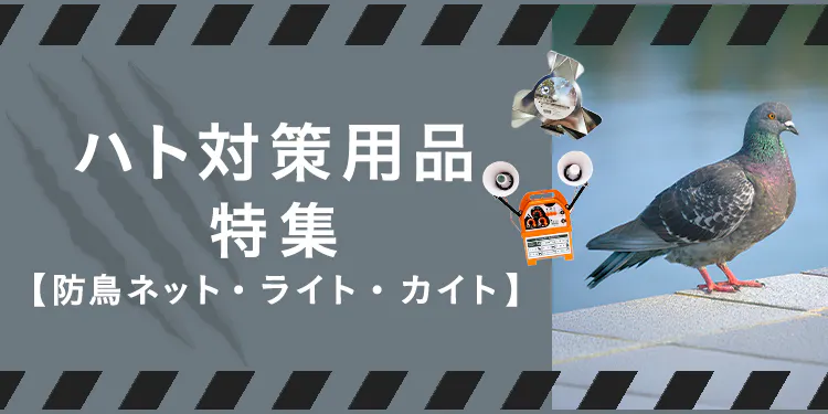 鳩(ハト)対策用品特集
