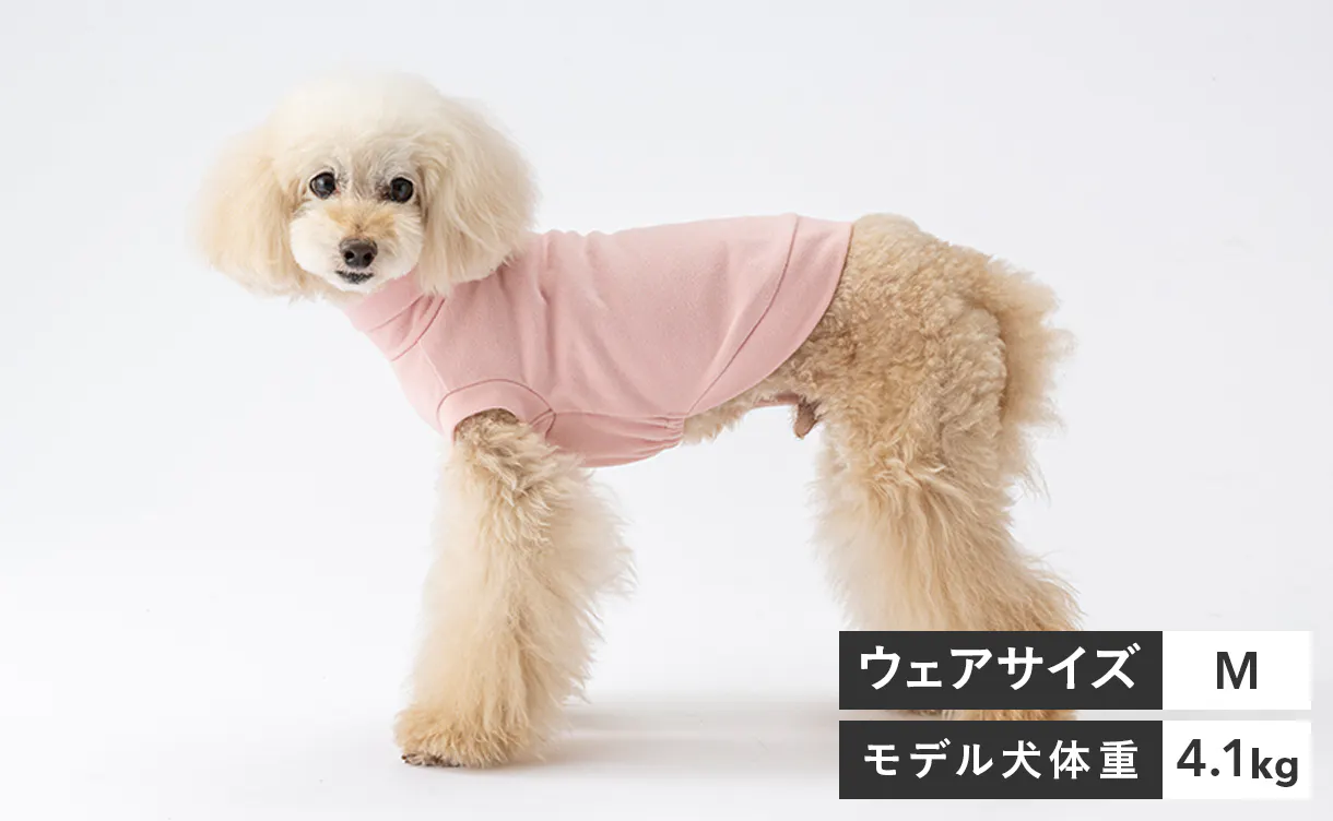 pet_wear_img02a_1220x752.jpg