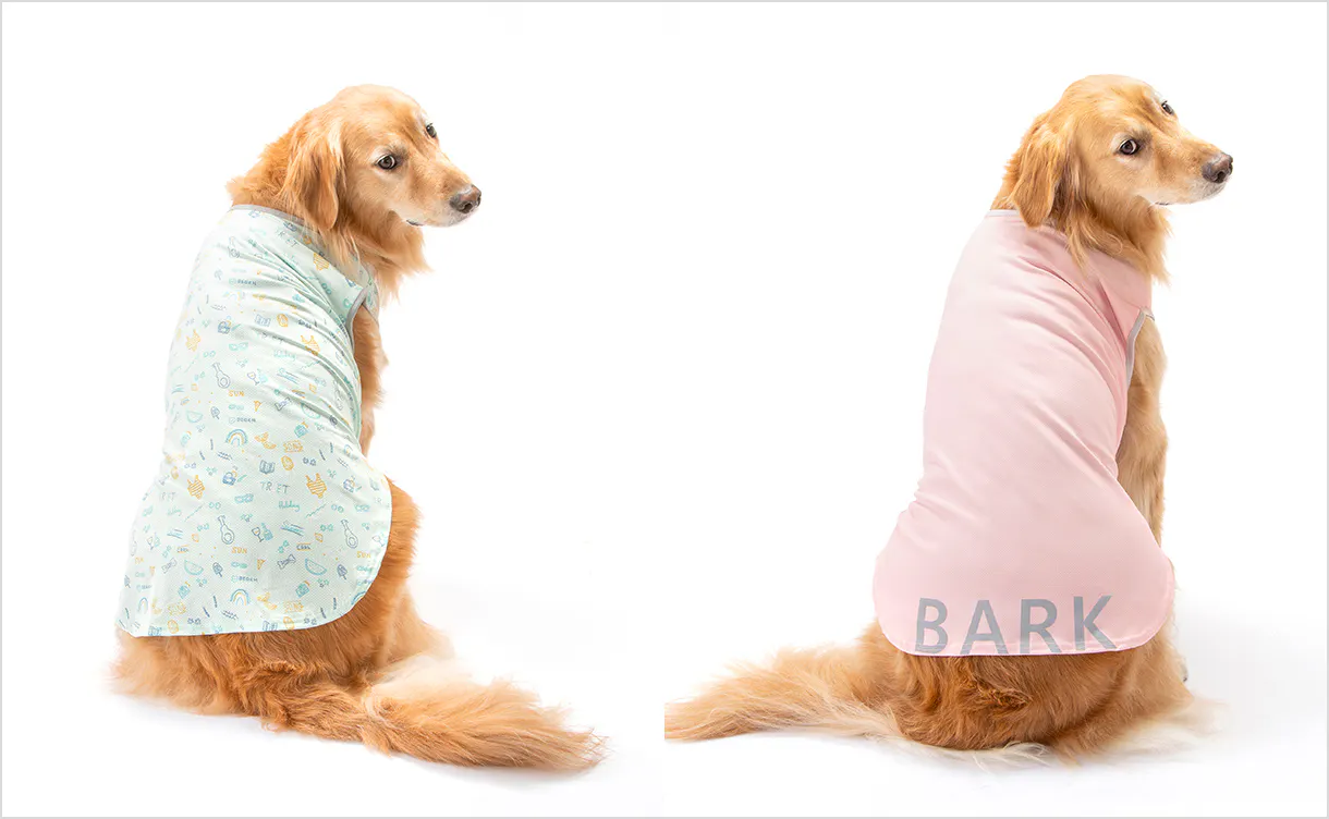 pet_wear_img07_1220x752.jpg