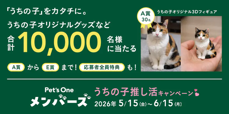 世界に1匹だけの「うちの子」へ！愛をカタチにする1ヶ月。Pet’s Oneメンバーズ限定「うちの子推し活キャンペーン」