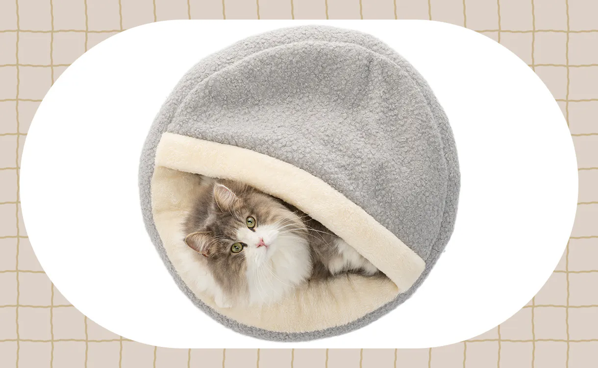 猫用ベッド