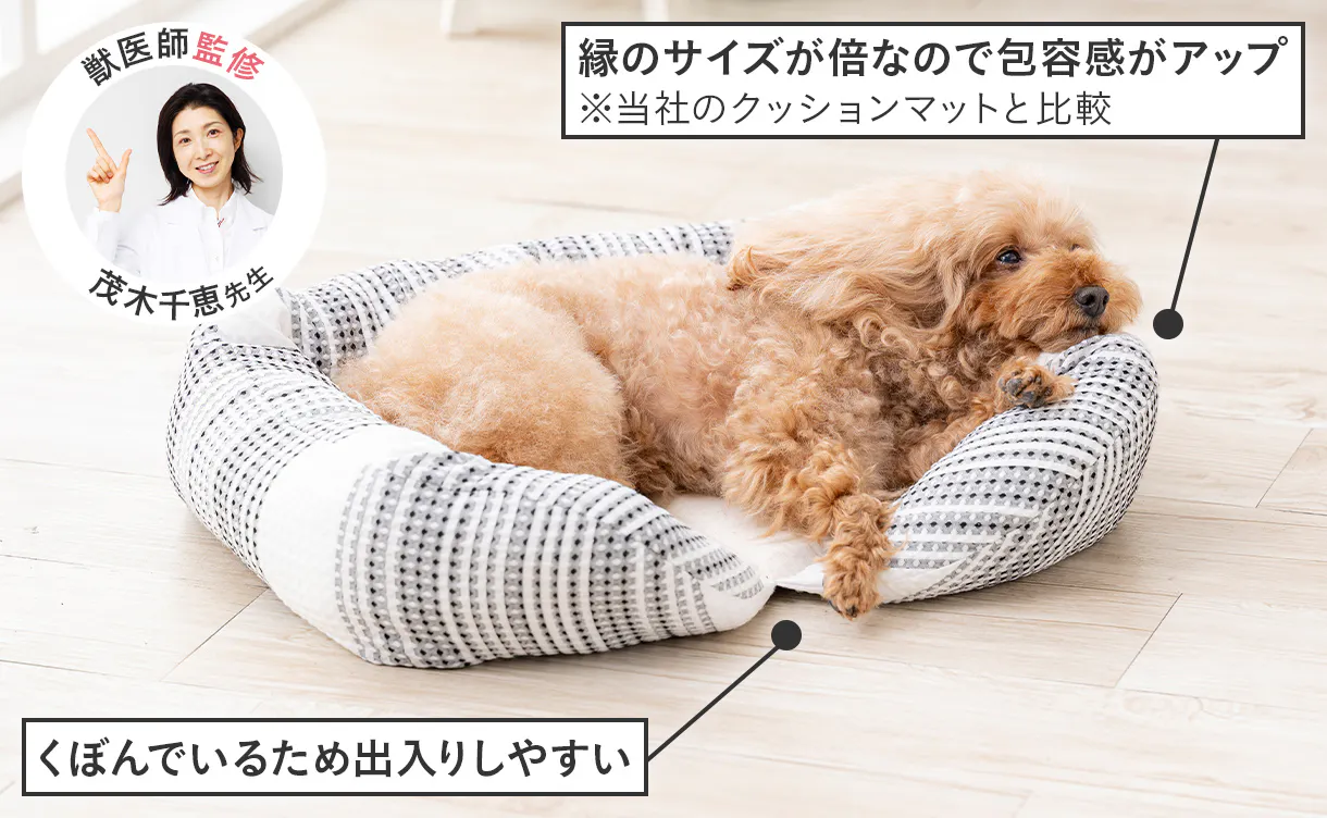 pet_bed_4550596212173_1220x752.jpg