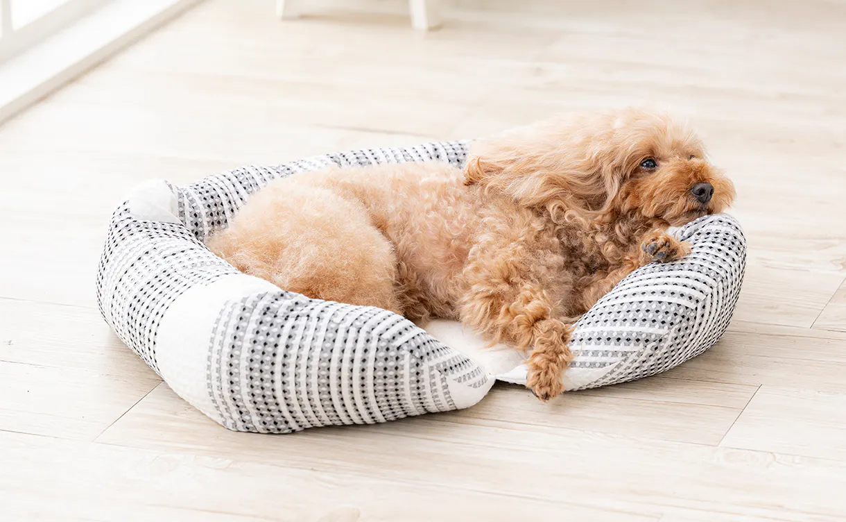 pet_bed_4550596212173_1220x752.jpg