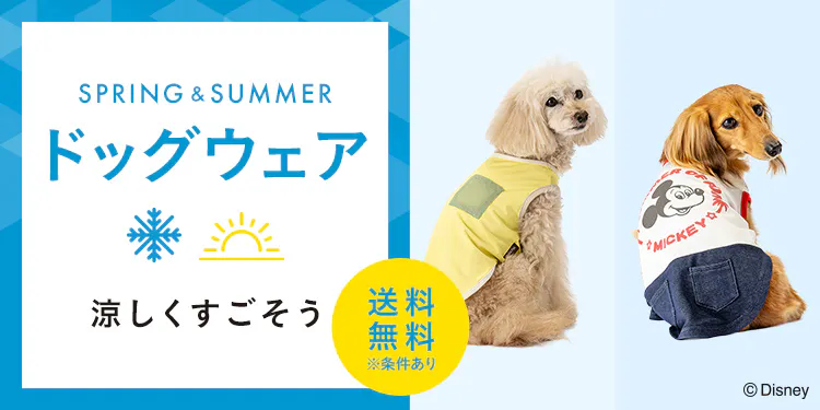 【2026年春夏】おしゃれでかわいい犬服・ドッグウェア特集｜ひんやり機能・形・サイズ別