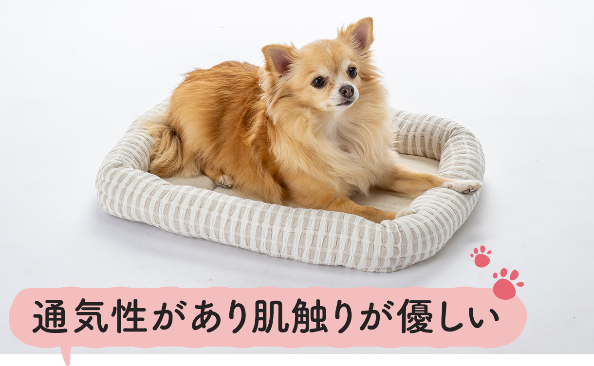 2026年春夏】新作ペットベッドを​機能や​形別に​ご紹介