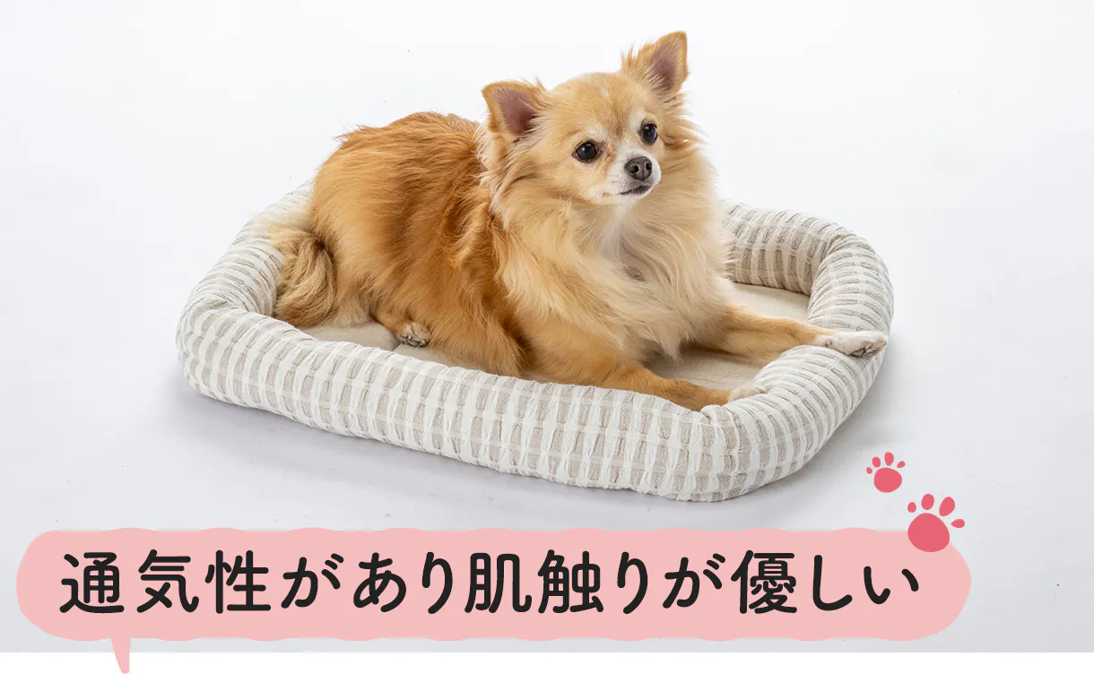 竹節生地で​作られた​Bambooペットベッド