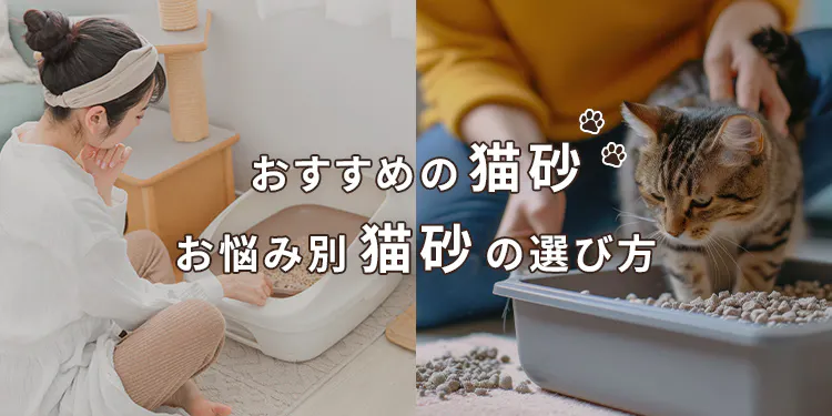 【徹底解説】おすすめの猫砂・お悩み別猫砂の選び方