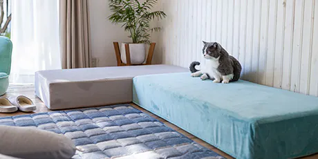 ソファ・座椅子・クッション