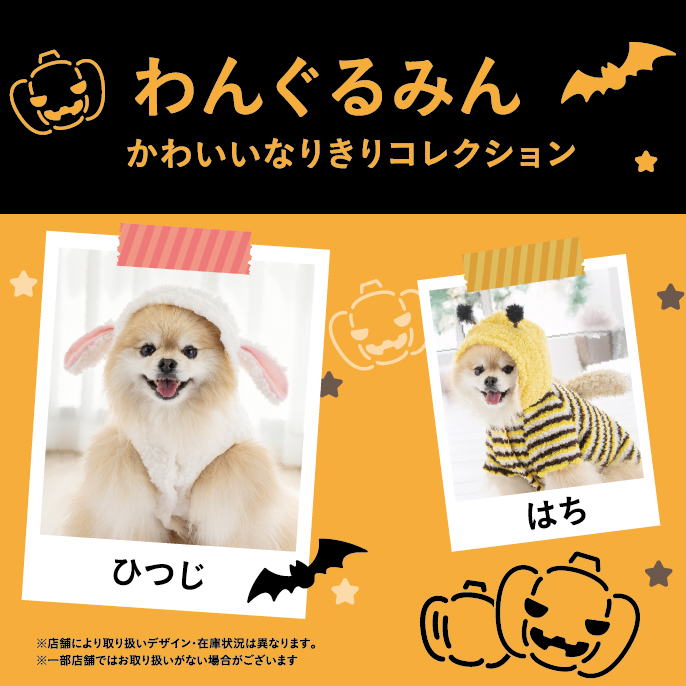 2026年秋冬】犬服・ドッグウェア特集｜機能・サイズ・犬種別