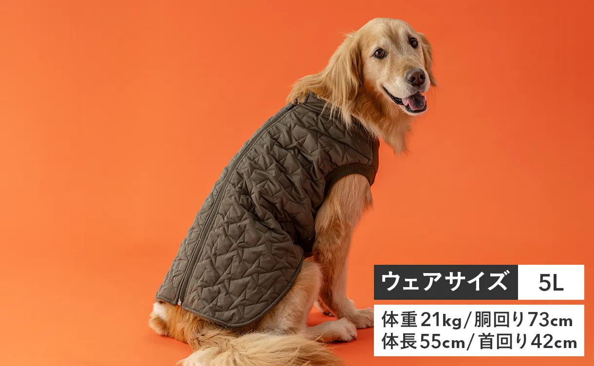 pet_wear_img09a_1220x752.jpg