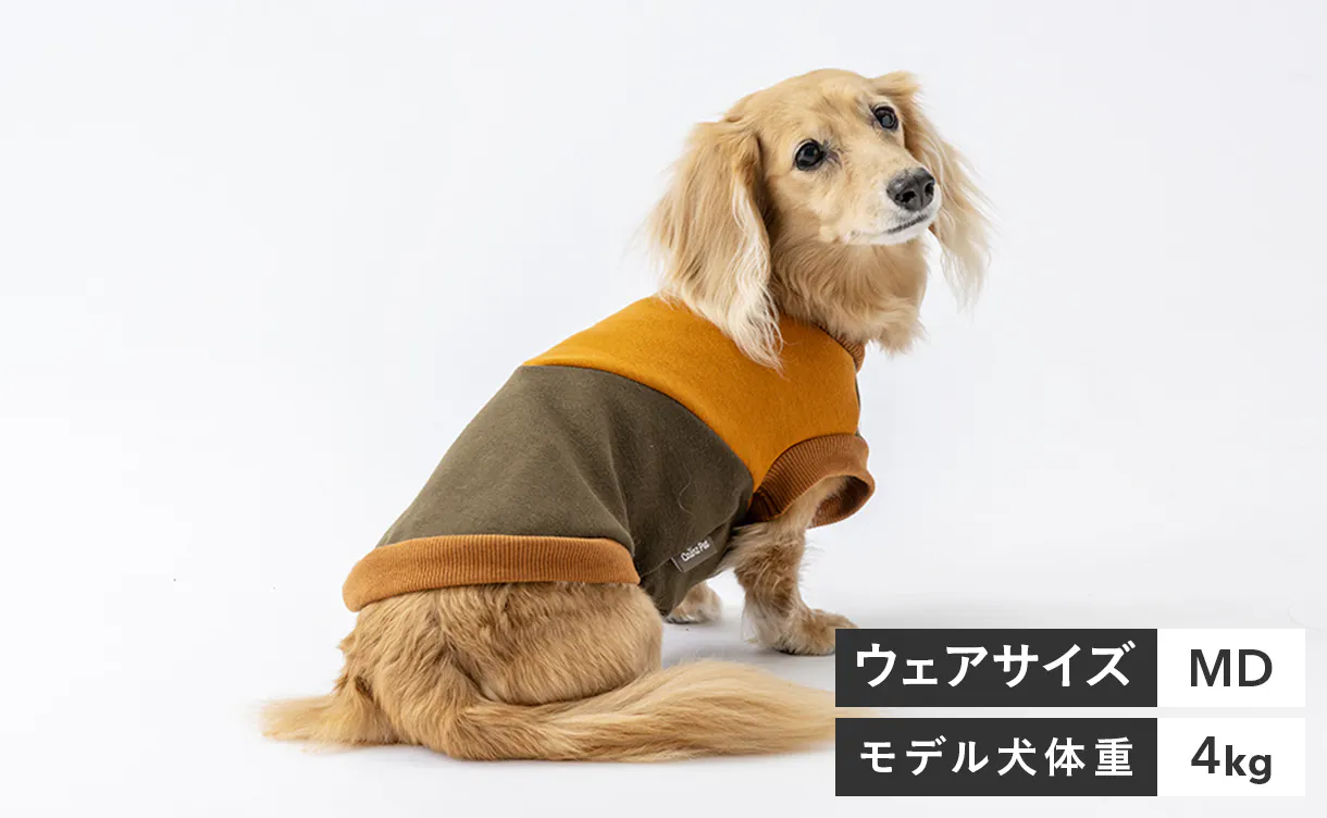 pet_wear_img03a_1220x752.jpg