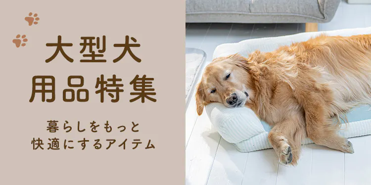 おすすめの大型犬用品