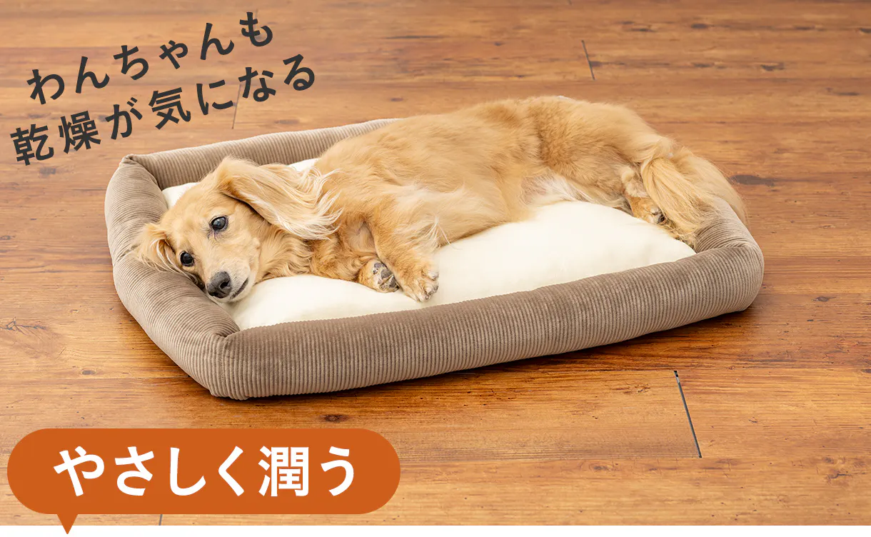 肌にやさしいうるふわペットベッド