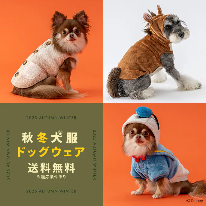 秋冬の新作登場！おしゃれで機能的な犬服・ドッグウェア特集